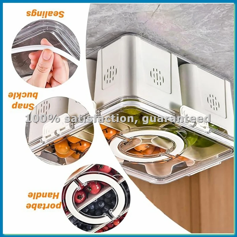 Food Storage Box Large - Plateau à Fruits pour Grand Pique-Nique,