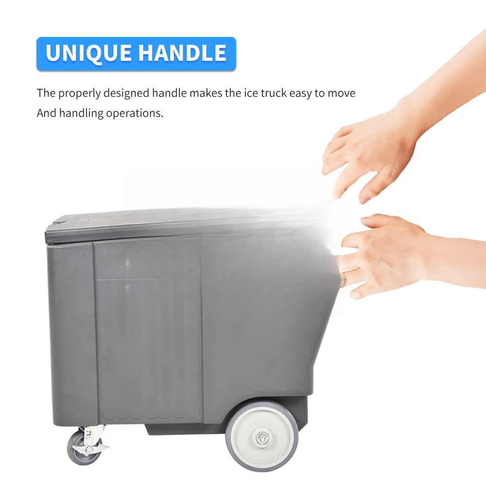 Boîte à glace 110L, bac de ran - Food Storage Facilities avis et prix